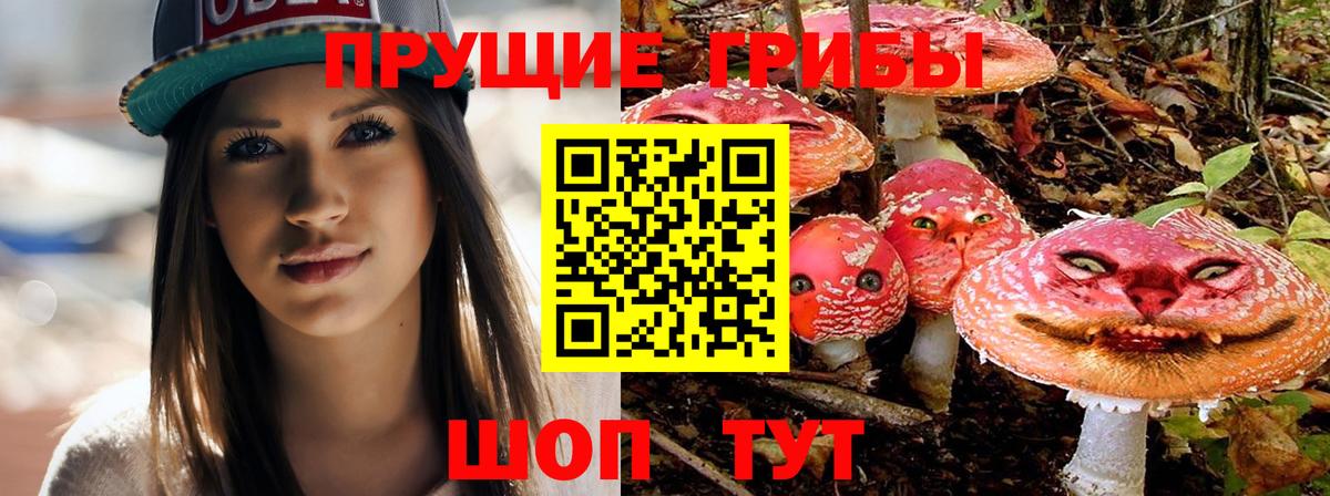 Галлюциногенные грибы Psilocybe  Вход с VPN  Омск 